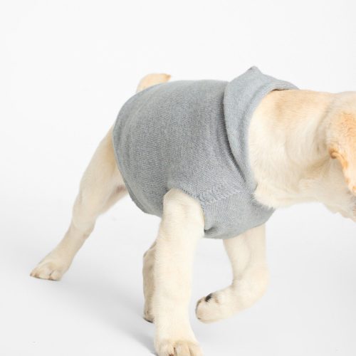 Dog Co.forBrochuWalker CashmereHoodie 1