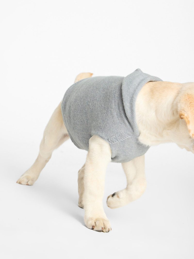 Dog Co.forBrochuWalker CashmereHoodie 1