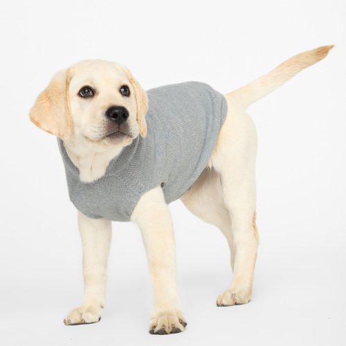 Dog Co.forBrochuWalker CashmereHoodie 3